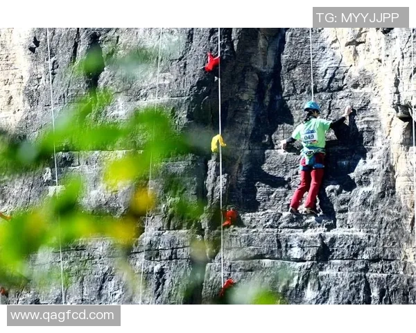 武汉攀岩队的节奏揭秘:探索攀岩深度与团队精神的完美结合 武汉攀岩队的节奏揭秘:探索攀岩深度与团队精神的完美结合