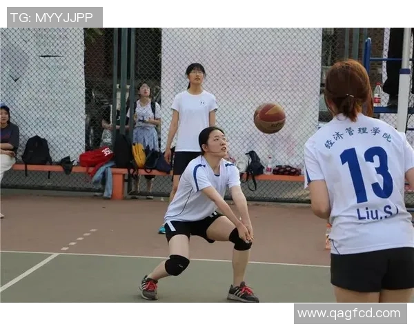 武汉排球队的拼搏之路：一段关于梦想与坚持的排球纪实