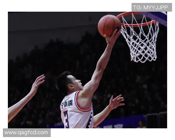 2015至2016赛季辽宁队对阵新疆队精彩回顾与赛季分析