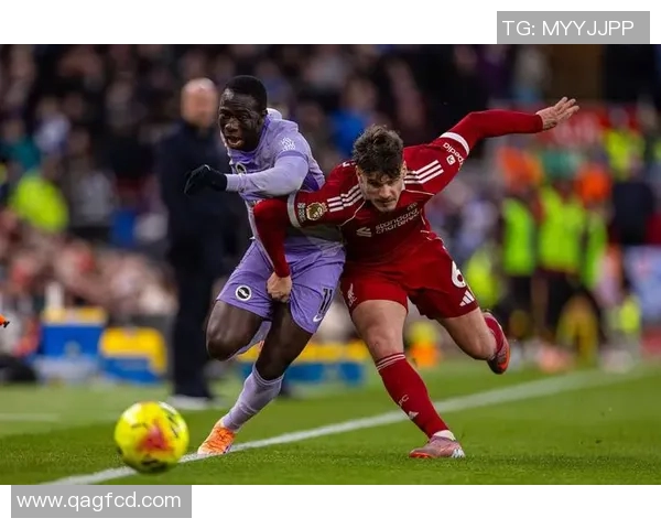 布莱顿与利物浦精彩对决直播回顾及赛后分析 布莱顿与利物浦精彩对决直播回顾及赛后分析