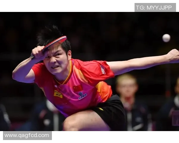 樊振东在2020年乒乓球赛场的辉煌表现与挑战分析 樊振东在2020年乒乓球赛场的辉煌表现与挑战分析