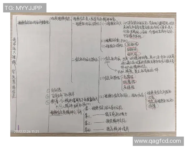 天主青年与戈多伊的对决：信仰与理想的碰撞与启示