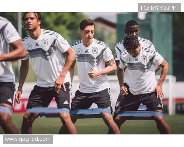 奥地利与德国友谊赛因不可抗力因素宣布取消引发广泛关注