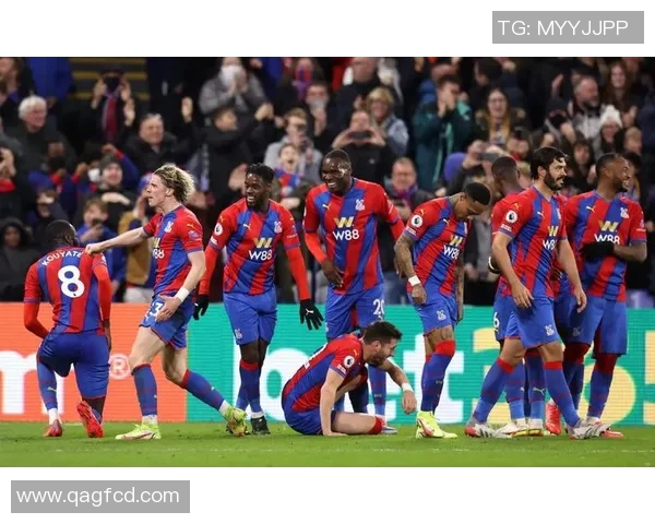 水晶宫主场迎战布莱顿期待一场精彩的英超对决