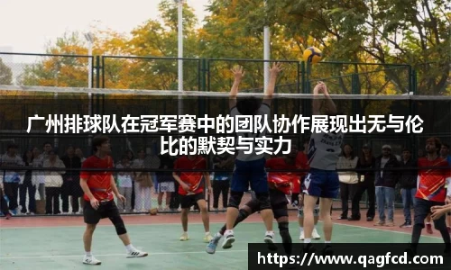 bwin必赢app平台